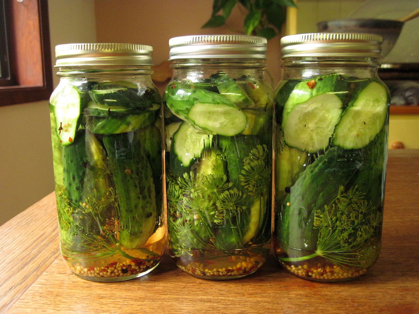 The Canadian Food Experience Project Experimental LactoFermented Dill